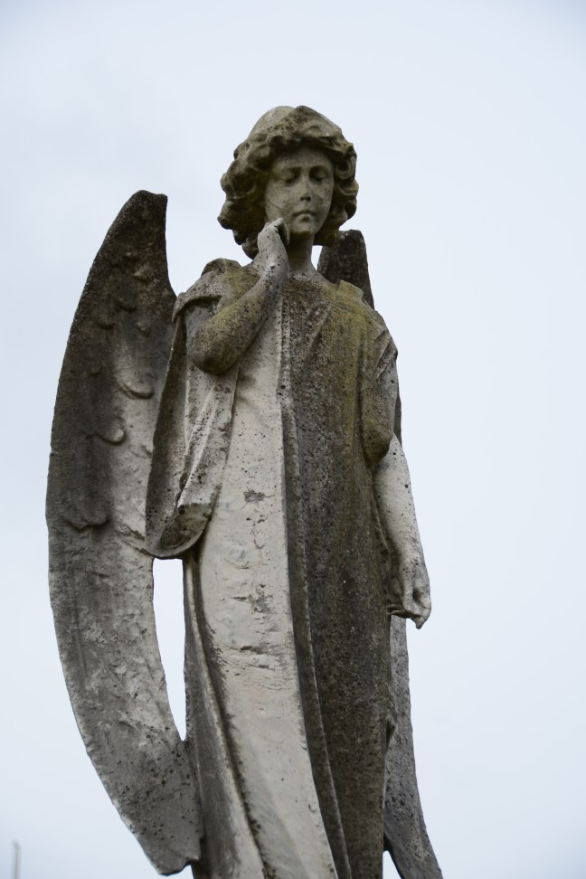 February 2nd 2015 280.JPG