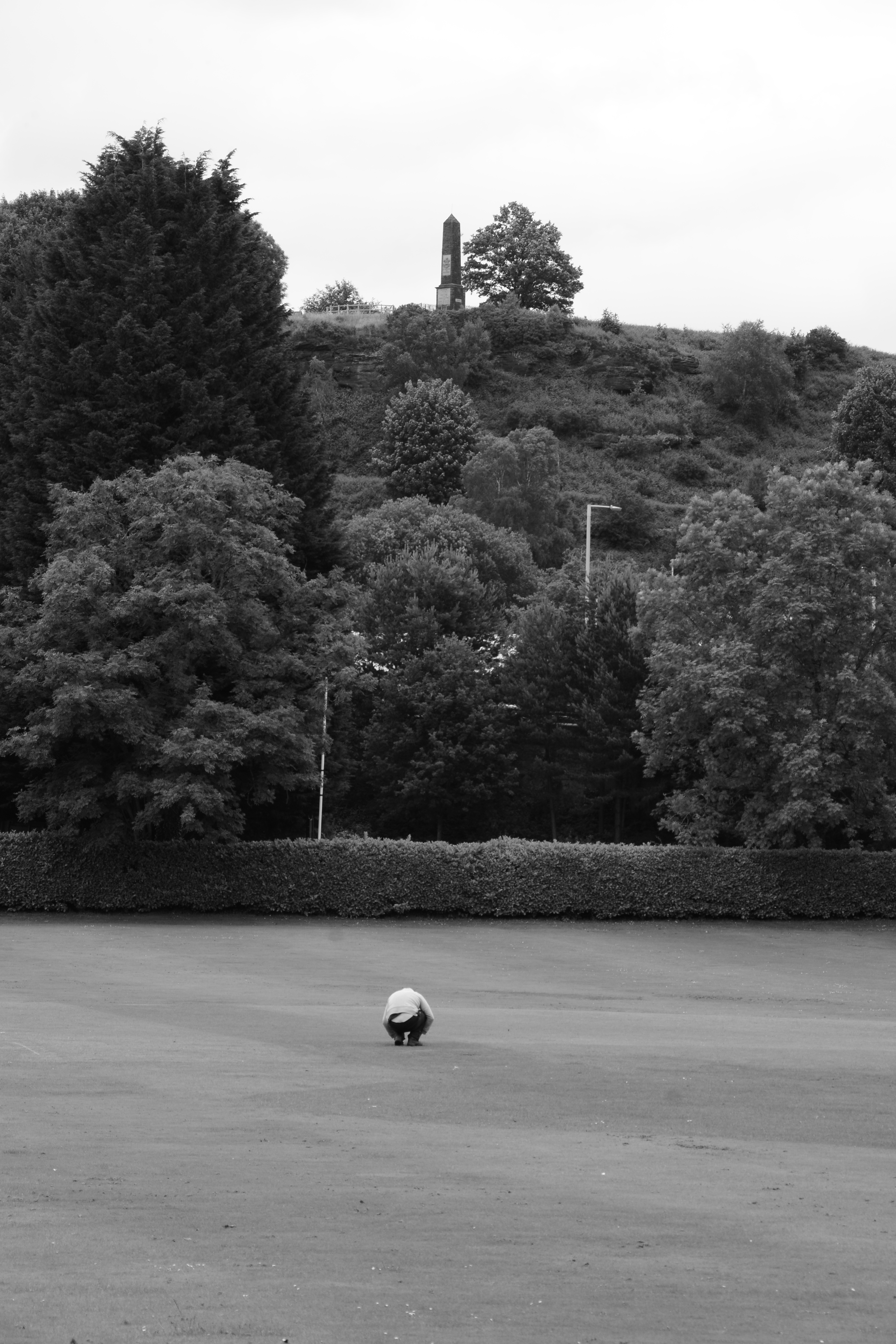 Notes from a small garden 318.JPG