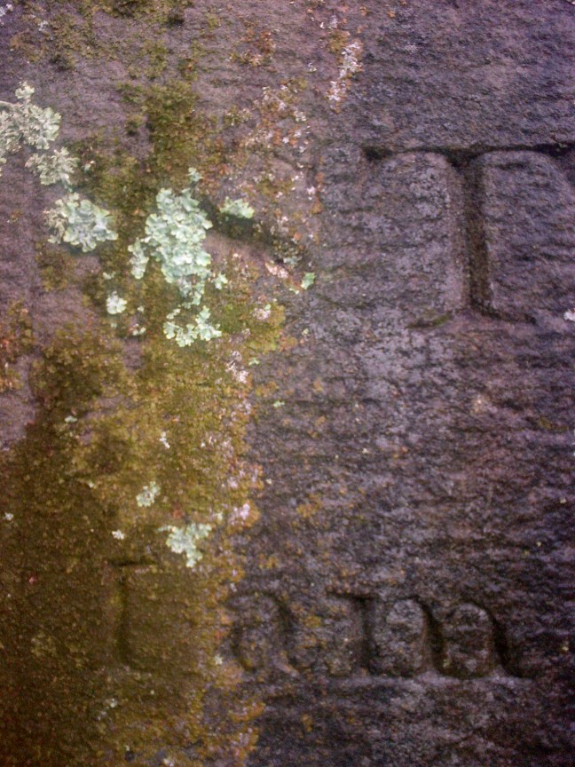 December 2015 015.jpg