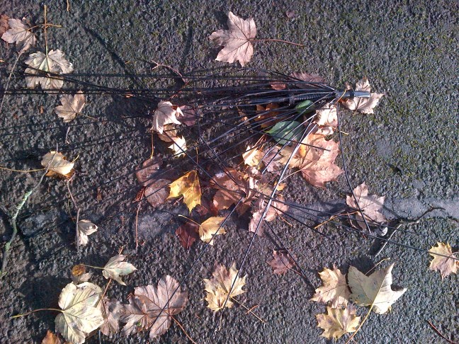 December 2015 002.jpg