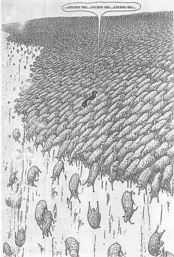 15894965_1525215354173354_6608064637480622497_n